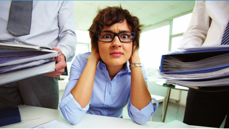 background check education verification gpa