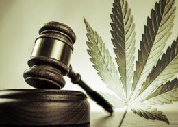 Drug Screening and its use in employment screening: Marijuana