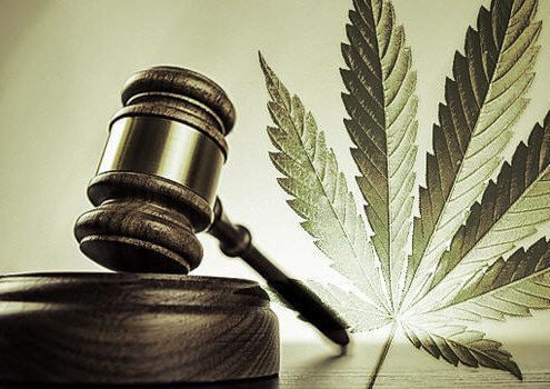 Drug Screening and its use in employment screening: Marijuana