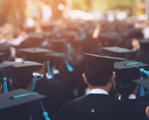 education verification