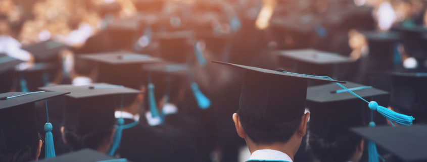 education verification