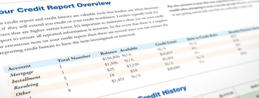 credit reports for background checks