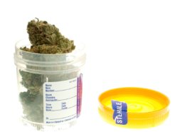 Should Employers in NY Ask Potential Employees for Marijuana Testing?