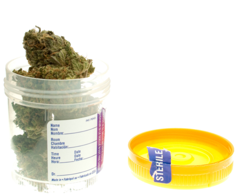 Should Employers in NY Ask Potential Employees for Marijuana Testing?