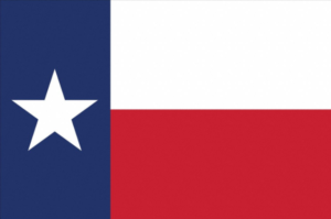 Texas Employment Background Checks